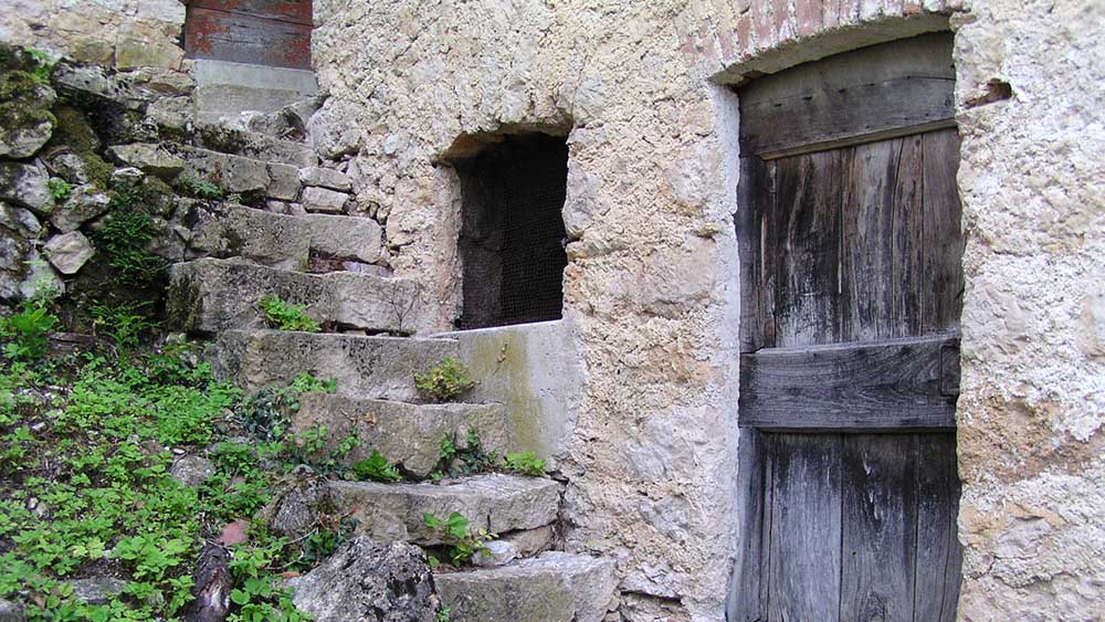 FiloFalo01