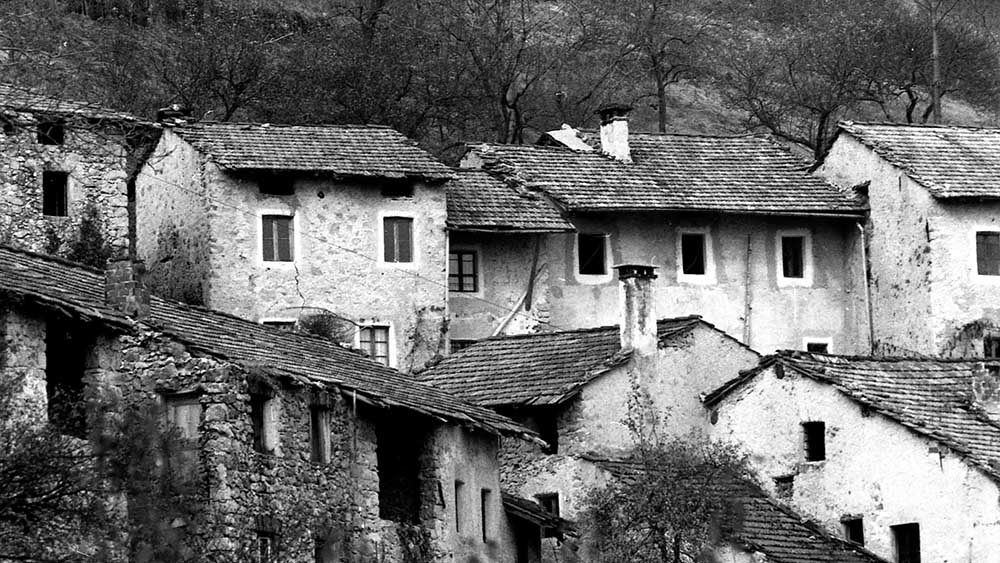 FiloFalo01