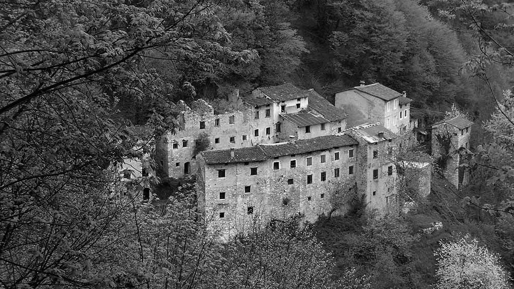 FiloFalo01